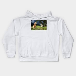 Summer Flirt Cats Fine Art Photography Kids Hoodie